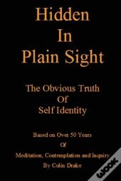 Hidden In Plain Sight