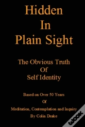 Capa do artigo Hidden In Plain Sight