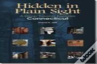 Hidden In Plain Sight