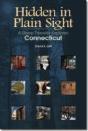 Hidden In Plain Sight - Preview