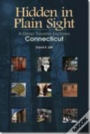 Capa do artigo Hidden In Plain Sight