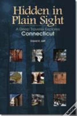 Capa do artigo Hidden In Plain Sight