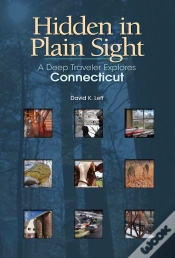 Capa do artigo Hidden In Plain Sight