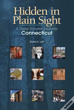 Capa do artigo Hidden In Plain Sight