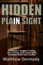 Hidden In Plain Sight - Preview