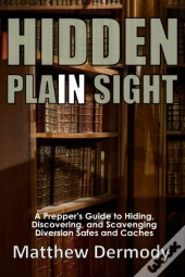 Hidden In Plain Sight