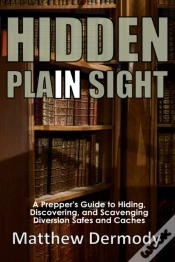 Capa do artigo Hidden In Plain Sight