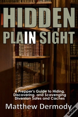 Capa do artigo Hidden In Plain Sight