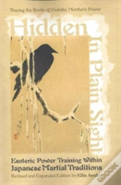 Capa do artigo Hidden In Plain Sight