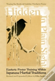Capa do artigo Hidden In Plain Sight