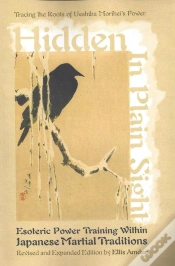 Capa do artigo Hidden In Plain Sight