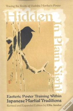 Capa do artigo Hidden In Plain Sight