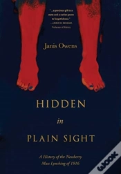 Capa do artigo Hidden In Plain Sight