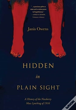 Capa do artigo Hidden In Plain Sight