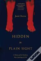 Hidden In Plain Sight