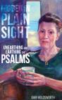 Hidden In Plain Sight - Preview