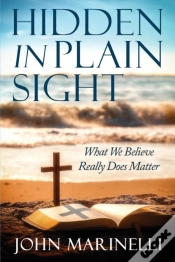 Capa do artigo Hidden In Plain Sight