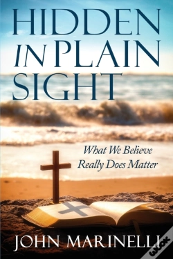Capa do artigo Hidden In Plain Sight