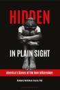 Hidden In Plain Sight - Preview