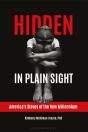Hidden In Plain Sight - Preview