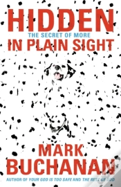 Capa do artigo Hidden In Plain Sight