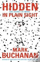 Hidden In Plain Sight