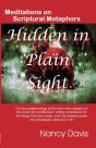 Hidden In Plain Sight - Preview