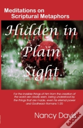 Hidden In Plain Sight
