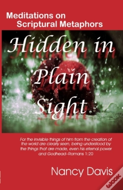 Capa do artigo Hidden In Plain Sight