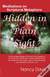 Capa do artigo Hidden In Plain Sight