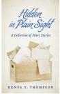 Hidden In Plain Sight - Preview