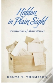 Capa do artigo Hidden In Plain Sight