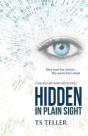 Hidden In Plain Sight - Preview
