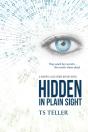 Hidden In Plain Sight - Preview