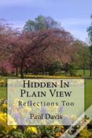 Hidden In Plain View