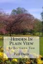 Hidden In Plain View - Preview