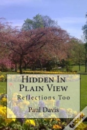 Hidden In Plain View