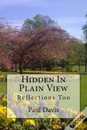 Capa do artigo Hidden In Plain View