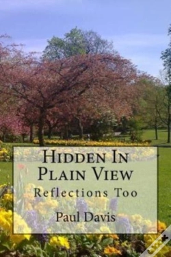 Capa do artigo Hidden In Plain View