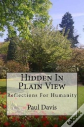 Hidden In Plain View