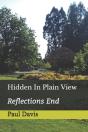Hidden In Plain View - Preview