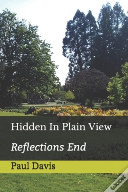 Capa do artigo Hidden In Plain View