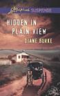 Hidden In Plain View - Preview