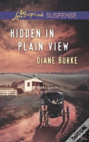 Capa do artigo Hidden In Plain View