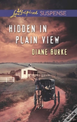 Capa do artigo Hidden In Plain View
