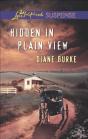 Hidden In Plain View - Preview