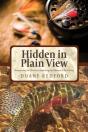 Hidden In Plain View - Preview