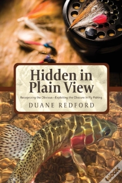 Capa do artigo Hidden In Plain View