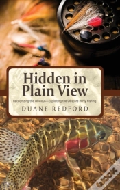 Capa do artigo Hidden In Plain View