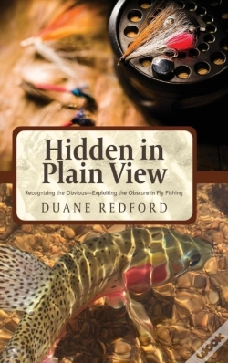 Capa do artigo Hidden In Plain View